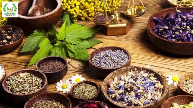 Benefits and uses of Aloe Vera