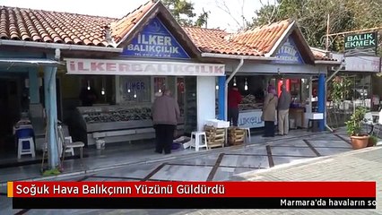 Soğuk Hava Balıkçının Yüzünü Güldürdü