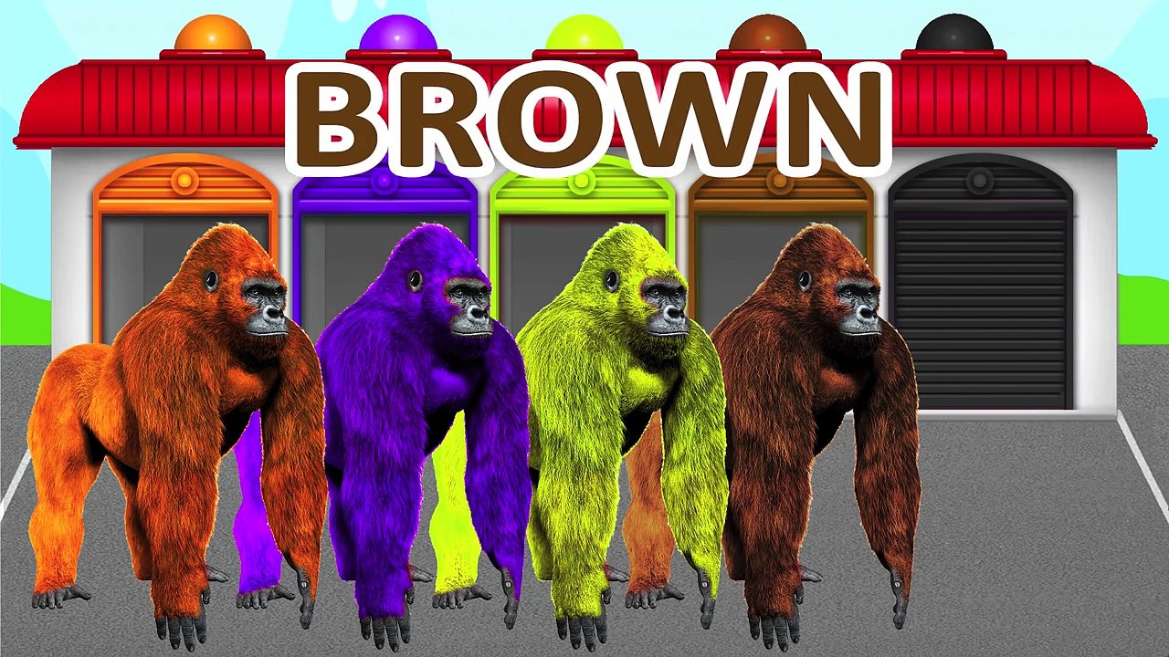 NEW COLORS GORILLA! LEARN COLORS! Video for kids and toddlers!