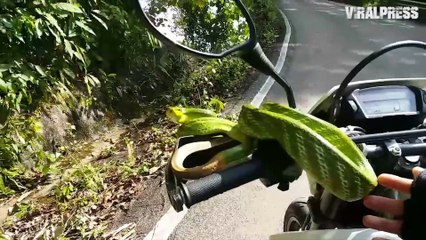 Snake Coils Round Motorbike Handlebars