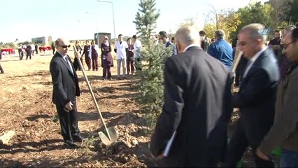 Dü'de Gerçekleştirilen 576 Organ Nakli İçin Fidan Dikildi