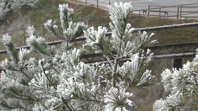 [날씨] 찬 바람 쌩쌩, 기온 뚝...주말 추위에 산간 대설 / YTN