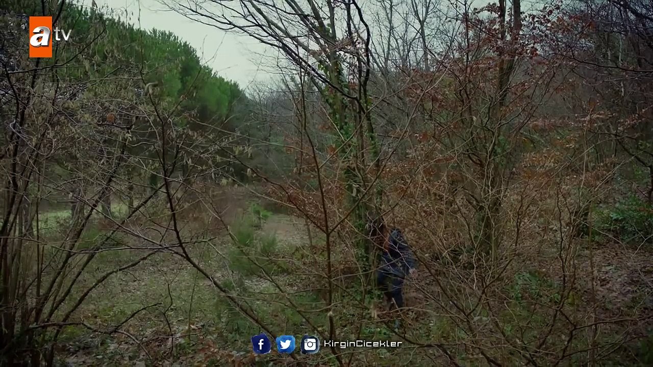 Kırgın Çiçekler 71. Bölüm - Kemal, Eylül’ü yakalıyor!