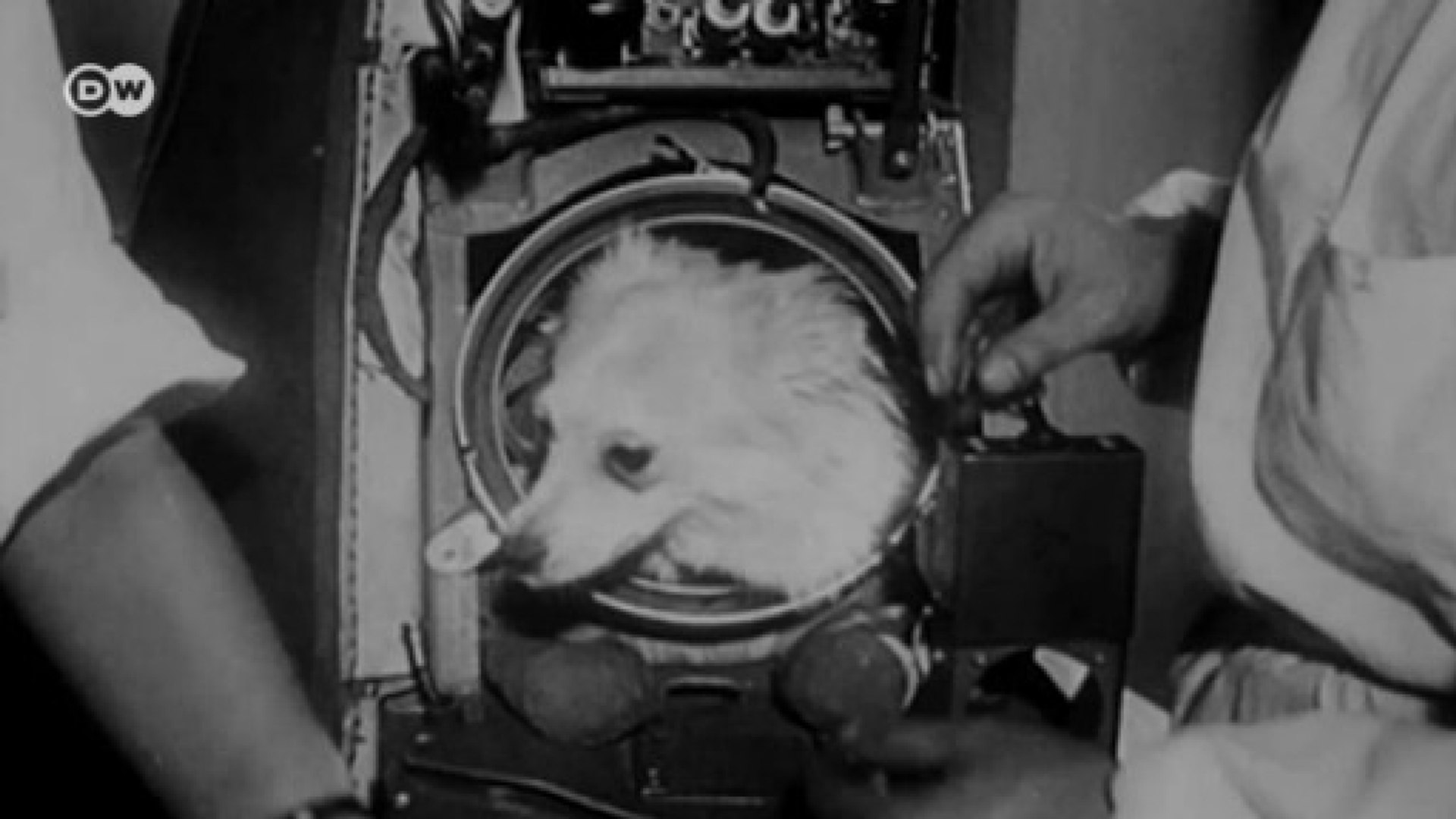 Uzaya Giden Ilk Dunyali Laika Video Dailymotion