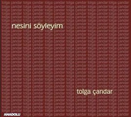 Tolga Çandar  - Testi Doldurdum Çaydan