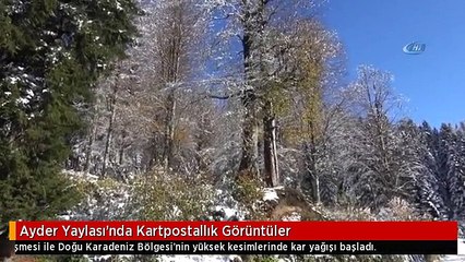 Ayder Yaylası'nda Kartpostallık Görüntüler