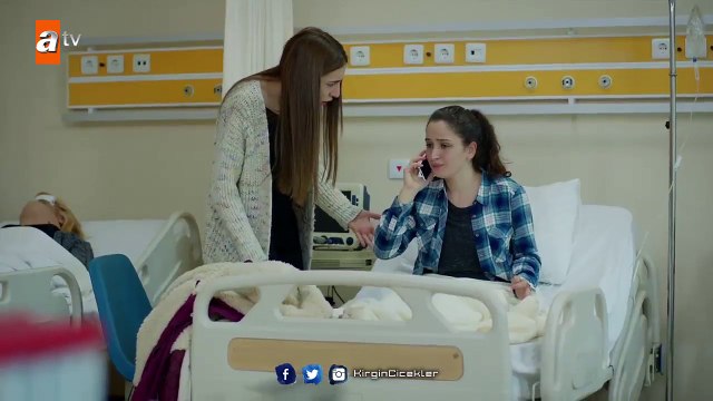 Kırgın Çiçekler 81.Bölüm - Kader, Eylül’ü buluyor!