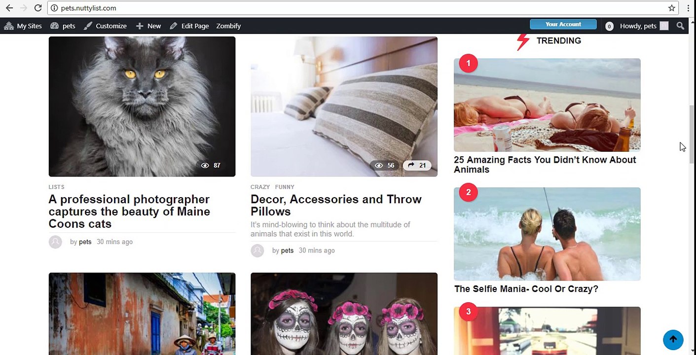 02- Discover your front-page - Nuttylist
