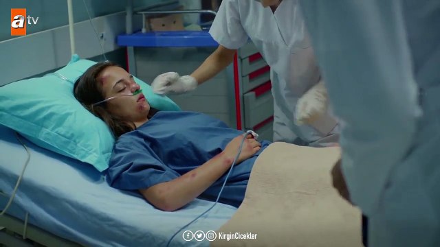 Eylül’ü teselli etmek Ali’ye düşüyor! - Kırgın Çiçekler 90.Bölüm