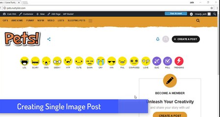 09- Create a single image post - Nuttylist