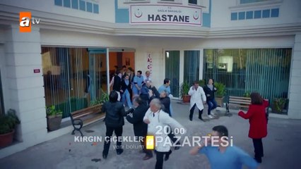 Kırgın Çiçekler 75.Bölüm Fragmanı
