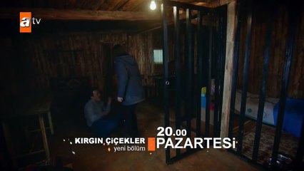 Kırgın Çiçekler 71.Bölüm Fragmanı