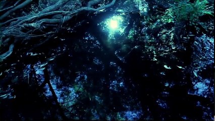 Unstoppable, by Kirk Cameron-