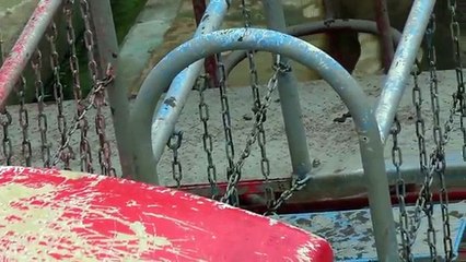 Baby Snow Monkey -- Cute Animal 1