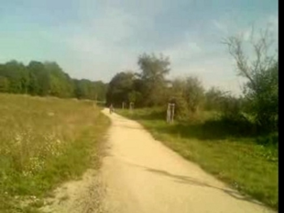 Icke auf Poketbike 1