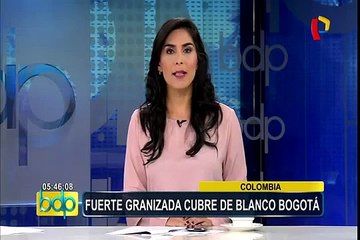 Brasil: decenas de animales mueren por sequía