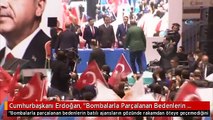 Cumhurbaşkanı Erdoğan, 