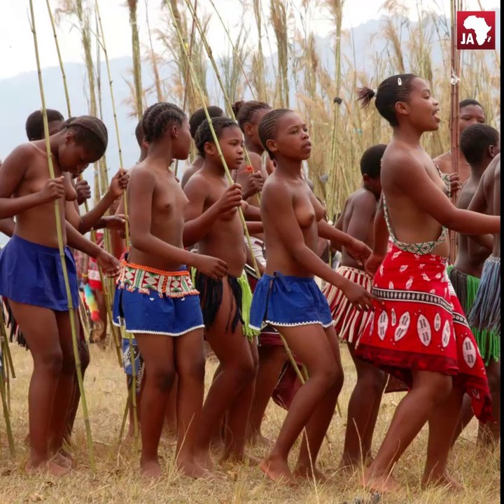 En Afrique du Sud, ces femmes qui se battent contre la censure des géants du net