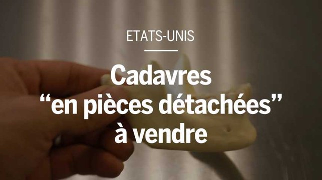 Aux Etats-Unis, le commerce de cadavres “en pièces détachées”