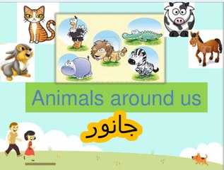 General knowledge in Urdu For kids grade 1, L 19,  All about Animals
