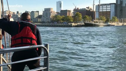 On the run thief rescued in Hudson River after stealing a cab