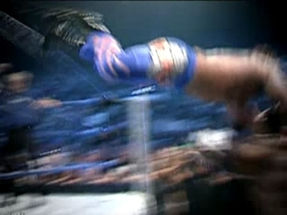 Dvd ladder match