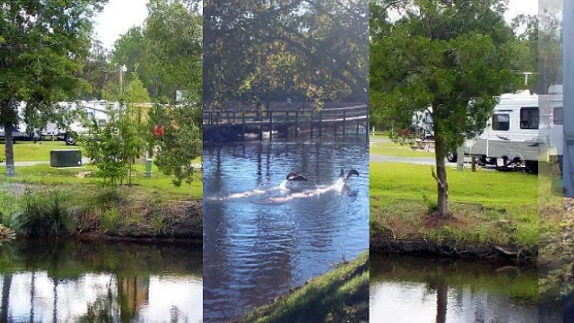 ⁣Pensacola RV Campsites | (850) 995-5898