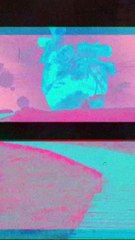 Instagram Stories - Zucchi