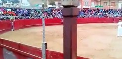 MAN TRIES TO JUMP A BULL AND GETS KNOCKED OUT...WELL DONE MR. BULL...WELL DONE