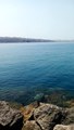 Delfin :) - Hrvatska, Jadransko more