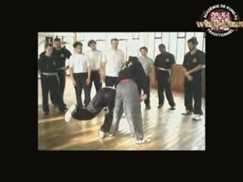 Sifu Didier Beddar video 9 wing chun kung fu