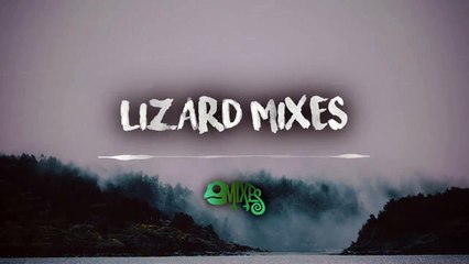 Contact With Late Nights (Lizard Mashup)