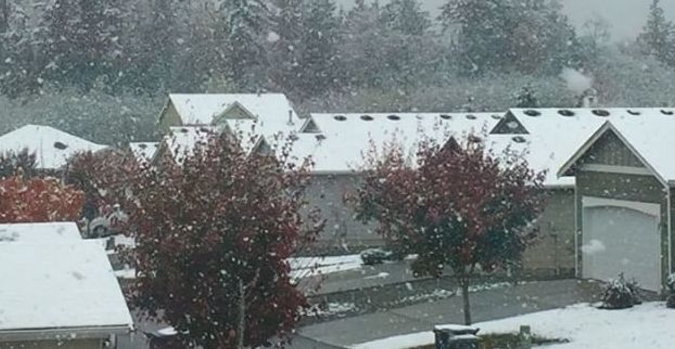 Snow Falls Across Puget Sound Area, Moving North of Seattle