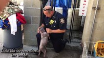 Puppy Is Sad At Shelter_ Until She Reunites With The Firefighter Who Saved Her F