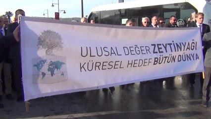 Ayvalık'ta "13. Zeytin Hasat Günleri"