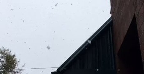 Giant Snowflakes Fall in Skagit County, Washington