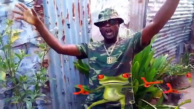 PROFIT REVELATION - BULL FROG DANCE (NEW DANCEHALL VIDEO) - OCTOBER 2017)