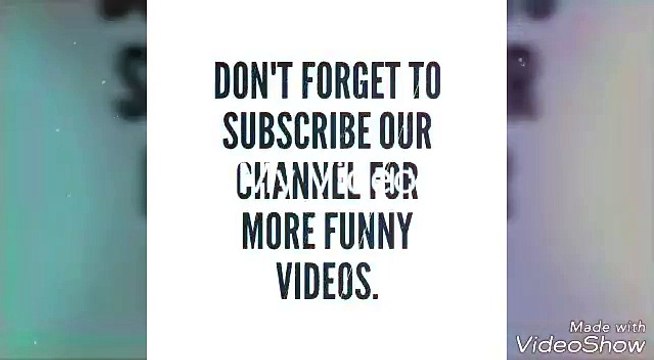 Funny Videos 2017 ● Funny Clips (Shinning Stars) - YouTube