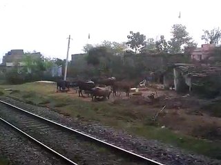 Ajmer-Sealdah Express departs Dhanbad Jn. curving and also gaining speed.3gp