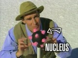 Bill Nye the Science Guy® - Atoms - Video-aNK1mQfNeik