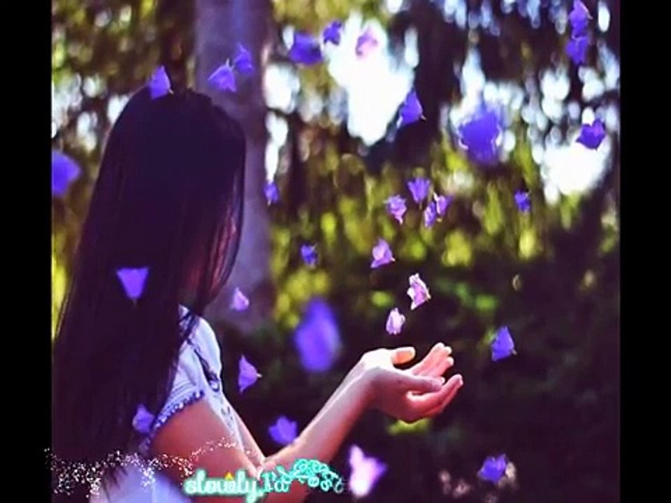 Có khi nào rời xa - English Ver - Lynk Lee