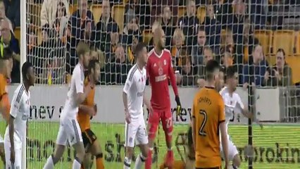 Wolves vs Fulham 2-0 (Championship) - Goals and Highlights