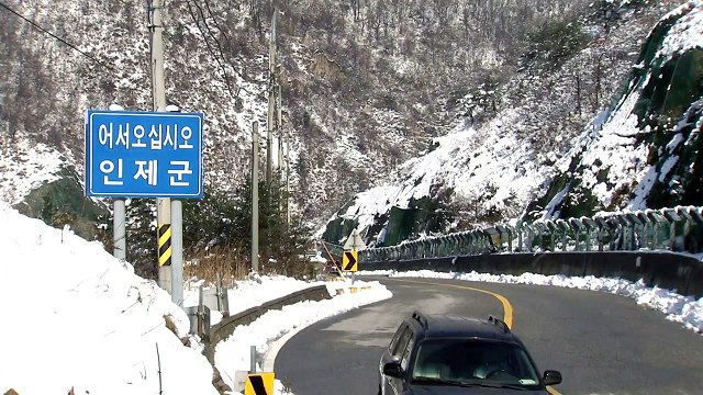 설악산 미시령에 첫 눈...'함박눈'에 겨울 풍경 / YTN