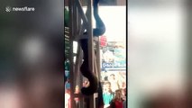 Massive python terrifies passengers in crowded railway station