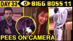 Vikas Gupta Leaves Bigg Boss, Puneesh PEES On Camera  BIGG BOSS 11 Nov 3rd  Day 33 Episode Update