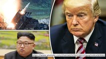 Trump 'NOT Permitted to pre-emptively nuke North Korea' congressperson cautions in the midst of WW3 fears