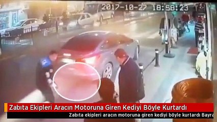 Zabıta Ekipleri Aracın Motoruna Giren Kediyi Böyle Kurtardı