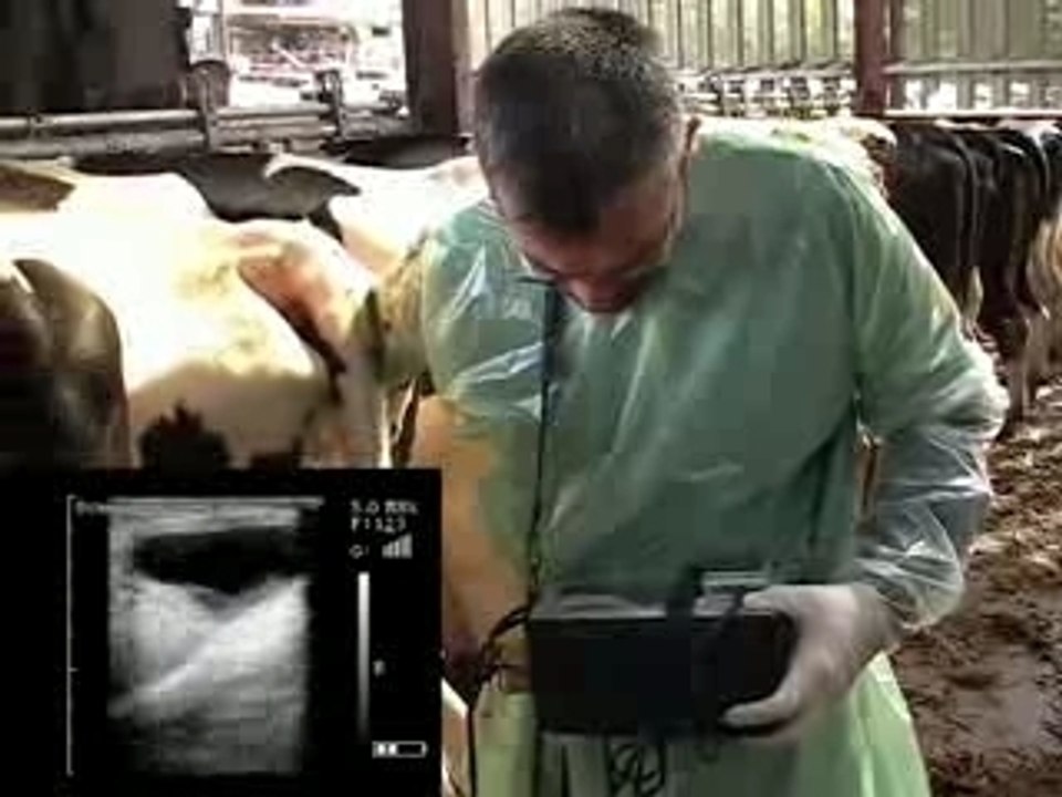 AGROSCAN AL