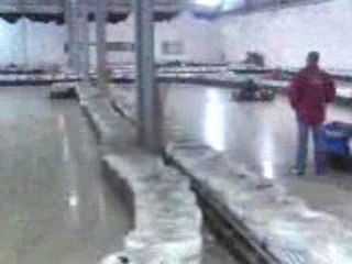 karting cef