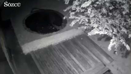 Sadio Mane ve Dejan Lovren’in evine balyozlu saldırı